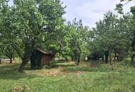 ,,Kleines Haus und großer Obstgarten in Hornstein!"