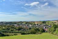 Einfamilienhaus mit großem Grund