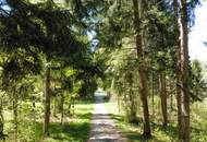 Verborgenes Sacherl in Alleinlage - ca. 1 ha Grund