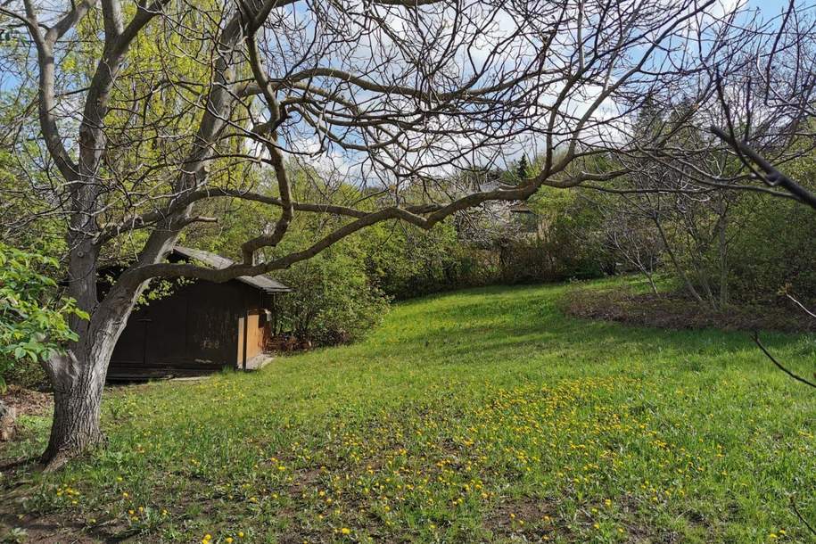 "Seltener Baugrund", Grund und Boden-kauf, 349.000,€, 3004 Tulln