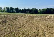 Attraktives Baugrundstück mit Entwicklungspotenzial – schöne Lage in St. Marein Nähe Wolfsberg