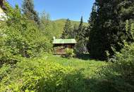 TOLLE FLÄCHE AM WOLFERSBERG MIT KLEINEM FERIENHAUS