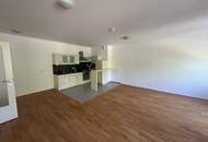 1120! 3 Zimmer Wohnung in der Schönbrunner Allee direkt beim Schloß Hetzendorf nahe dem Schönbrunner Schloßpark!