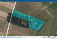 Landschaftsteich mit kleinem Waldanteil (Provisionsfrei)