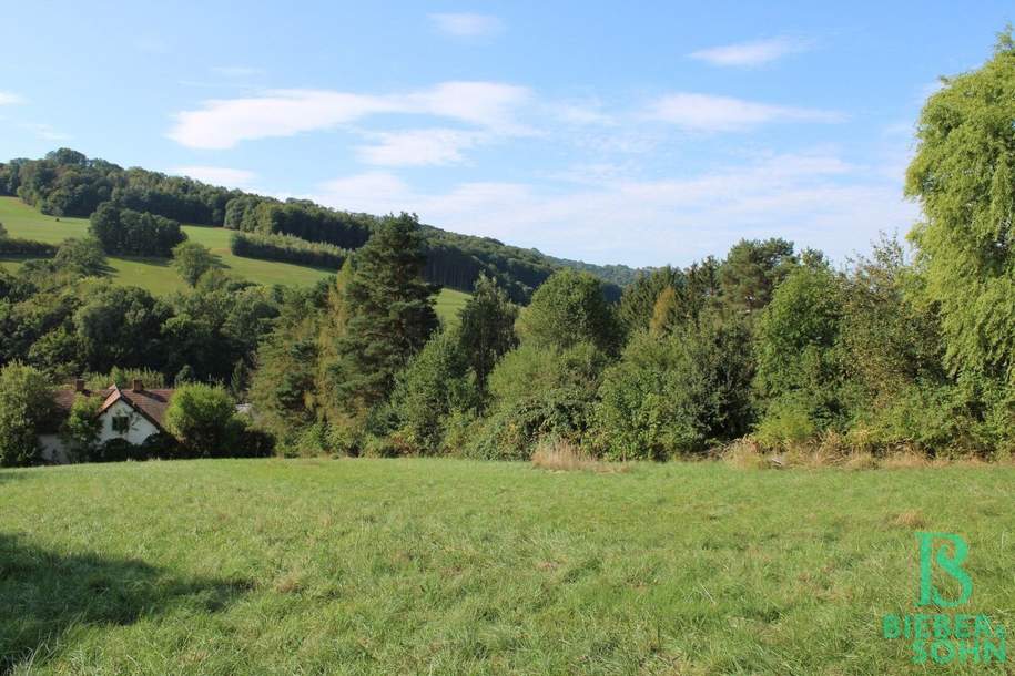 Für Jeden richtig fein - Groß – Mittel – Klein! Traumhafter Südhang mit Weit- und Grünblick!, Grund und Boden-kauf, 432.500,€, 3033 Sankt Pölten(Land)