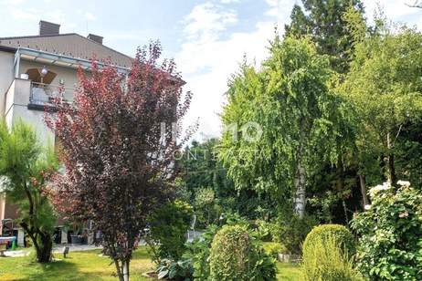 Viel Platz für Familie & Generationen – Zweifamilienhaus auf 703 m² Grundstück, Haus-kauf, 565.000,€, 1220 Wien 22., Donaustadt