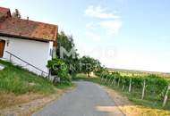 Weinstöckl mit Weinreben und ehemalige Landwirtschaft in ruhiger Ortsmitte - Sanierungsbedürftig