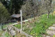 Einfamilienhaus in Top Lage mit Doppelgarage, großem Grund und Wald!