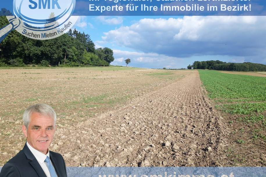 Acker bei Maissau - 3,42 ha landwirtschaftliche Nutzfläche!, Grund und Boden-kauf, 206.000,€, 3712 Hollabrunn
