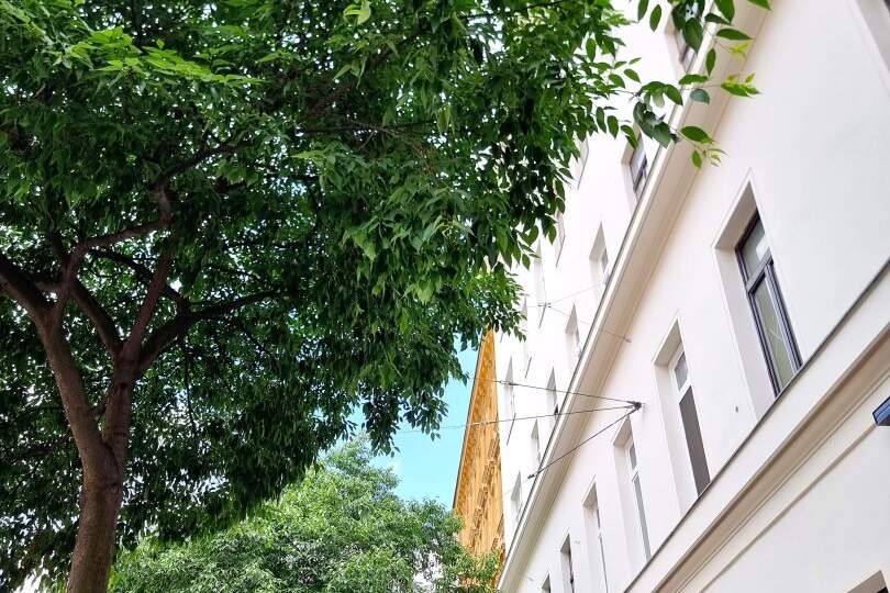 Wer nicht auf schlüsselfertig steht, ist hier richtig! 4-Zimmer Wohnung - Selbst Gestalten! Sanierungsbedürftige Altbauwohnung! U-Bahn ums Eck + Traumhaft renoviertes Altbauhaus + Optimalste Infrastruktur und Anbindung!, Wohnung-kauf, 305.000,€, 1030 Wien 3., Landstraße