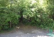 Beim Buchberg - Baugrund in herrlicher Aussichtslage - vielseitige Nutzungsmöglichkeiten