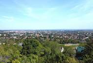 Imposantes Einfamilienhaus