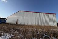 große Lager-/Verkaufs-/Produktionsfläche - Halle in Niederabsdorf