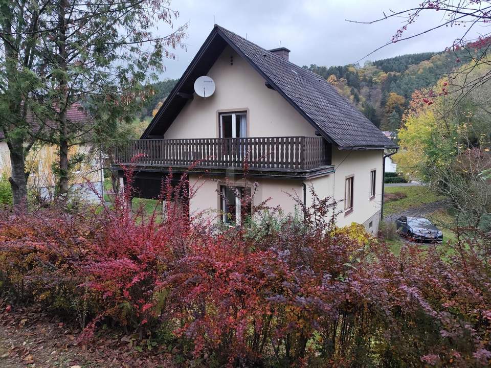 FAMILIENIDYLLE MIT GARTEN