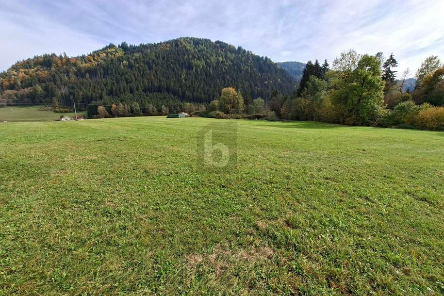 TOLLE GELEGENHEIT FÜR UNTERNEHMER, Grund und Boden-kauf, 79.000,€, 9560 Feldkirchen