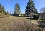 Gepflegter Bungalow mit Garten, mit Seezugang in Neufeld a.d. Leitha – 150m²!