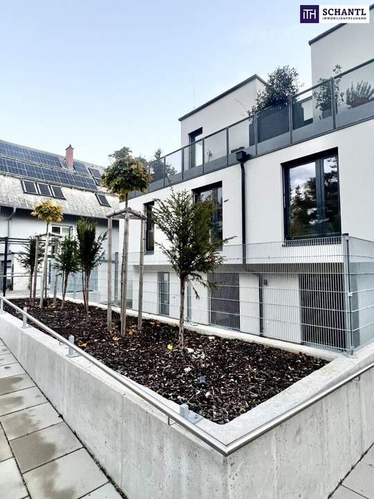 Wiener Weinberge vor der Tür ++ PROVISIONSFREI und SOFORT BEZUGSFERTIG ++ 2 Zimmer ++ Balkon ++ Perfekte Infrastruktur ++ Designbad ++ Durchdachter Grundriss ++ Klimatisiert ++ Hauseigene Tiefgarage