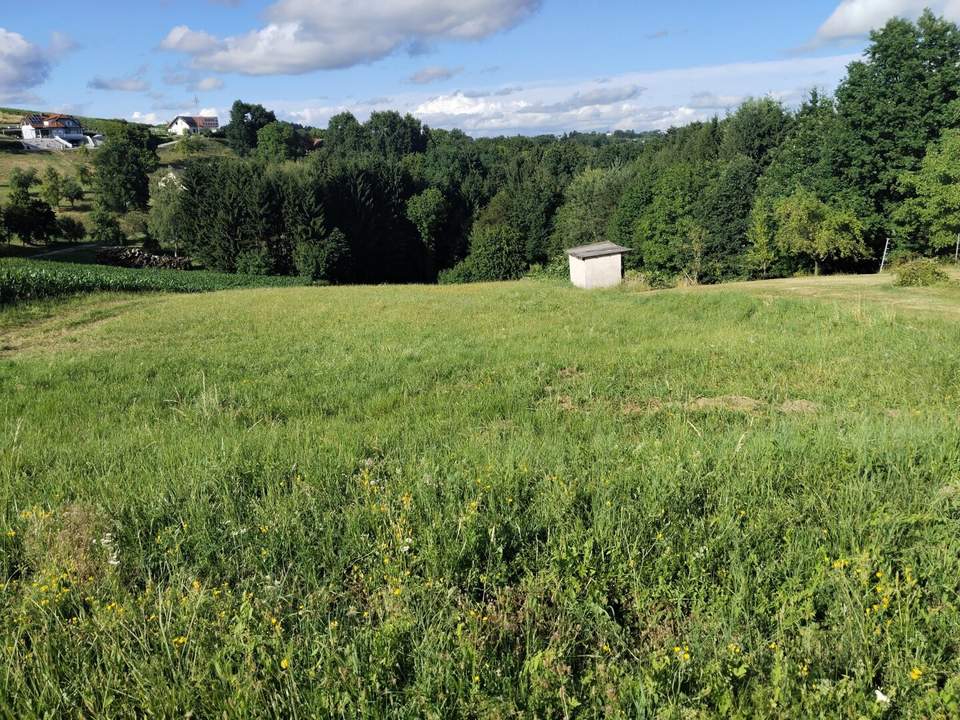 Sonniges Grundstück mit Wiese und Wald in Ruhelage in der Thermenregion!