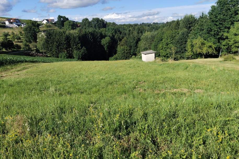 Sonniges Grundstück mit Wiese und Wald in Ruhelage in der Thermenregion!, Grund und Boden-kauf, 95.000,€, 7574 Güssing
