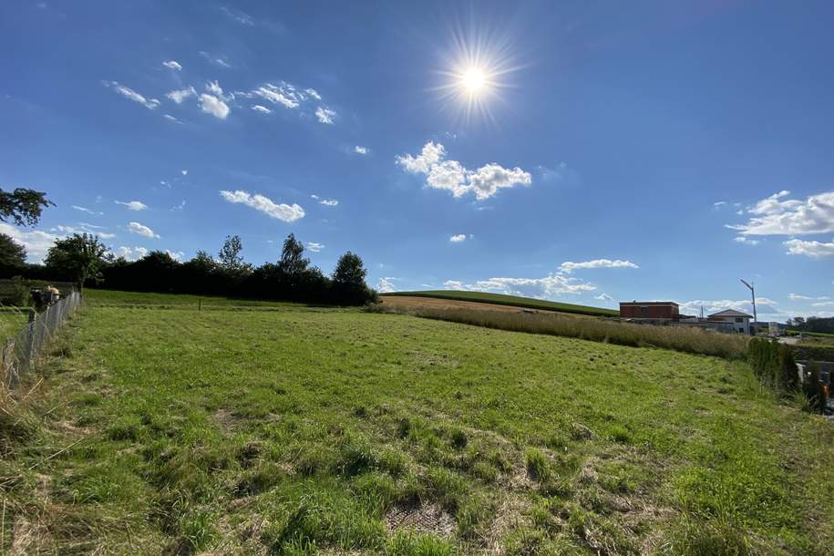 Baugrundstück mit Blick ins Grüne, Grund und Boden-kauf, 175.000,€, 4624 Wels-Land