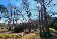 Bauträger oder Privatperson: Traumhaftes Grundstück mit Altbaumbestand in ruhiger Lage - teilbar