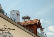 NEUBAU in Rust | Dachgeschosswohnung mit See-, Weinberg- & Altstadtblick | PROVISIONSFREI