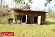 sonniges Grünland eingebetet neben Bach und Wald