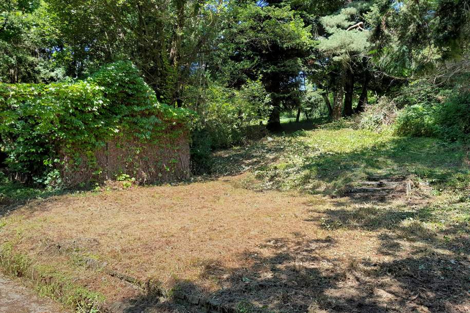 Großzügiges Baugrundstück mit Abbruchhaus und Grünlandanteil Nähe Purkersdorf, Grund und Boden-kauf, 295.000,€, 3011 Sankt Pölten(Land)