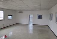 Hochwertig ausgestattete Halle mit Werkstattwidmung/Lagerflächen/Auslagen/ großzügige Freiflächen-alle Nebenräume!!