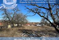 Schönes, sonniges Baugrundstück in der Gemeinde Sitzendorf!