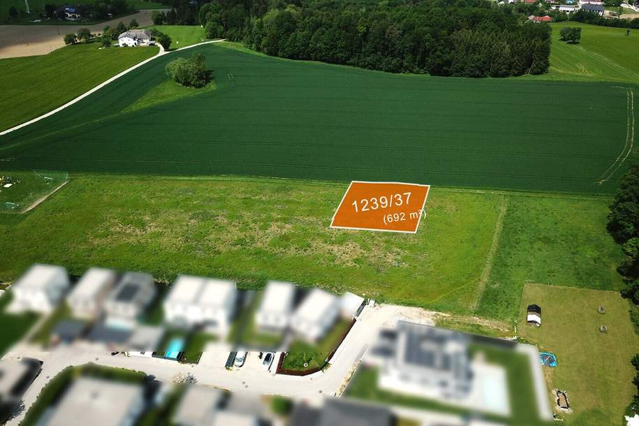 Baugrundstücke in Katsdorf / Ruhstetten – sonnige Lage, ideal für 1–3 Wohneinheiten je Parzelle, Grund und Boden-kauf, 173.000,€, 4223 Perg