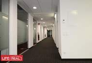 Exklusives Eckbüro mit Donau- und Pöstlingbergblick