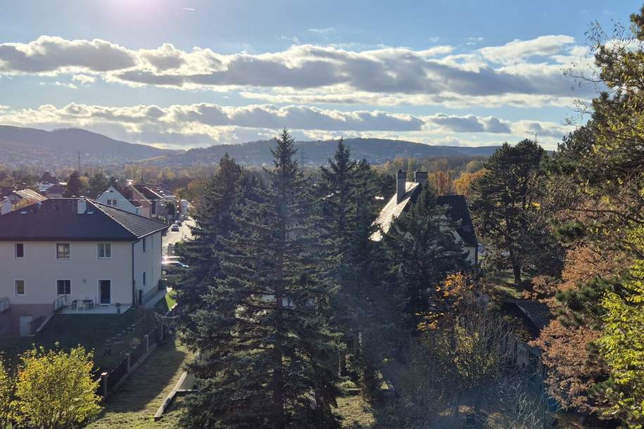 Baugrundstück mit Grünlandanteil (Eigengrund), Grund und Boden-kauf, 699.000,€, 2103 Korneuburg