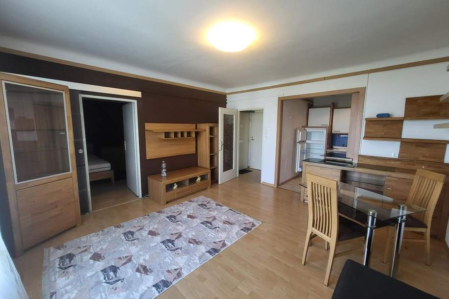 Schöne 2 Zimmer Wohnung / Neuer Preis, Wohnung-kauf, 169.000,€, 1100 Wien 10., Favoriten