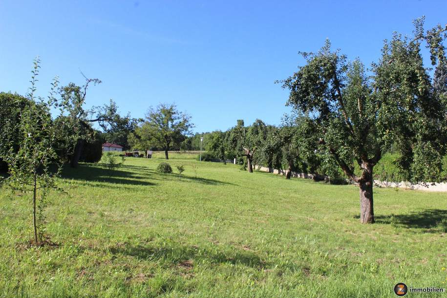 Unterkohlstätten: Schönes Baugrundstück mit Ausblick!, Grund und Boden-kauf, 45.000,€, 7435 Oberwart