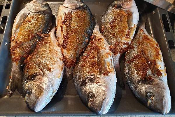 Tolle Fischzuchtanlage nähe Schärding zu verkaufen!, Grund und Boden-kauf, 4780 Schärding