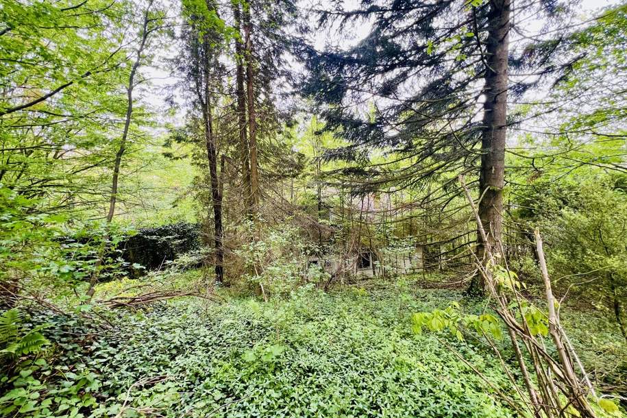 digitales Anbotsverfahren - Baugrundstück in herrlicher Ruhelage - vor den Toren Wiens - grüner Weitblick übers Tal - gut bebaubar, Grund und Boden-kauf, 349.000,€, 3021 Sankt Pölten(Land)