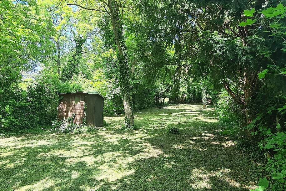 Genießen Sie den Sommer in Ihren eigenen vier Wänden! Top Lage - idyllischer Garten- viel Wohnnutzfläche, Haus-kauf, 2.900.000,€, 1180 Wien 18., Währing