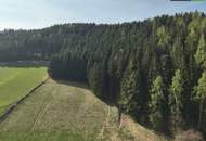 SANIERUNG 2025: Geräumiges Einfamilienhaus mit angeschlossener Kleinlandwirtschaft (Neben- und Stallgebäude) mit ca. 2.700 m² Grund