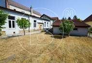 Modernes Einfamilienhaus mit großzügiger Lagerhalle/Werkstatt in zentraler Lage!