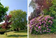 Raum zum Leben in Linzer Bestlage