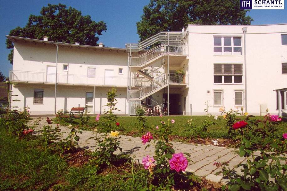 ++ANLEGER AUFGEPASST++ 4 WOHNUNGEN in TOP LAGE WAGNA++ NNF 336 m²++Befristet Vermietet mit hohen POTENZIAL++, Wohnung-kauf, 750.000,€, 8435 Leibnitz