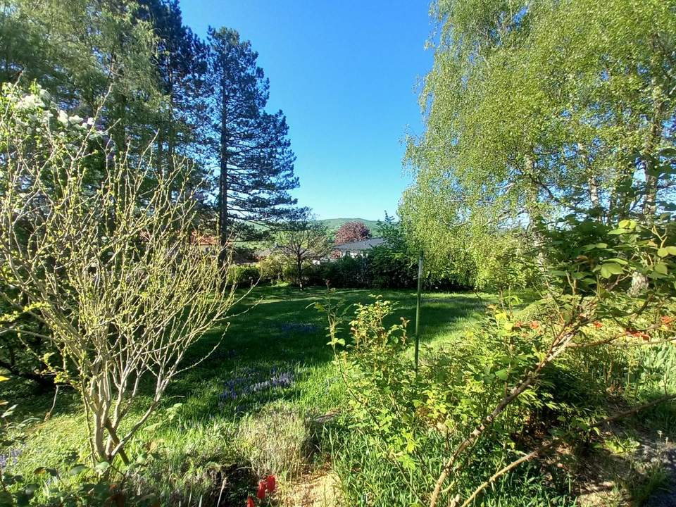 GROSSER SONNIGER BAUGRUND MIT ALTBESTAND