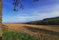 16 ha Landwirtschaft mit Mostviertler Vierkanthof