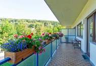 Generalsanierte top 3-Zimmer mit Loggia und Stellplatz Nähe Auhofcenter