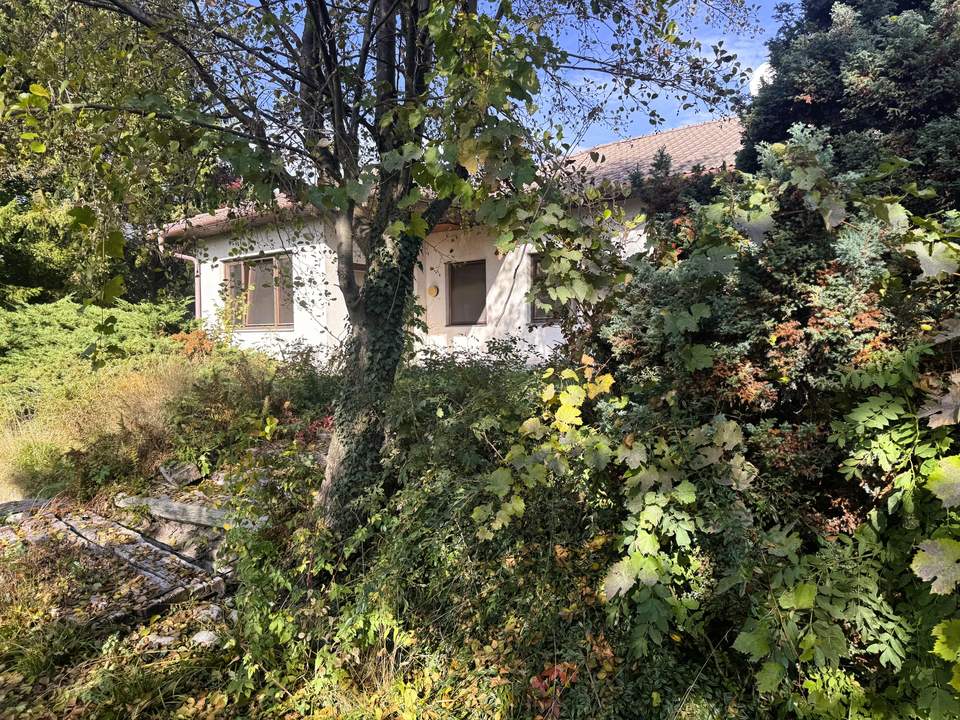 Ihr persönliches Paradies mit Bungalow und Nebengebäuden