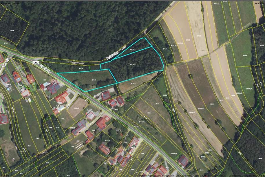 sonniges Grundstück OHNE BAUZWANG, Grund und Boden-kauf, 98.000,€, 7501 Oberwart