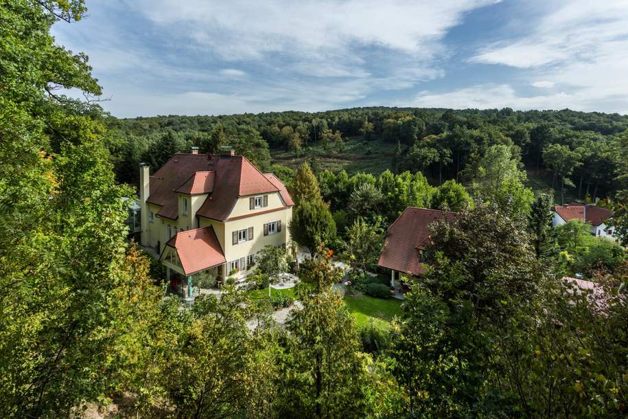 EINZIGARTIGE LIEGENSCHAFT - HERRSCHAFTSHAUS MIT PARKÄHNLICHER ANLAGE, Haus-kauf, 6.900.000,€, 2100 Korneuburg