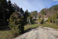 Baugrundstück mit über 2.200m² - Pitten