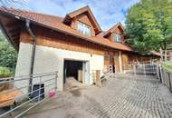 Außergewöhnliche Haushälfte vor den Toren Wiens mit enormem Potential